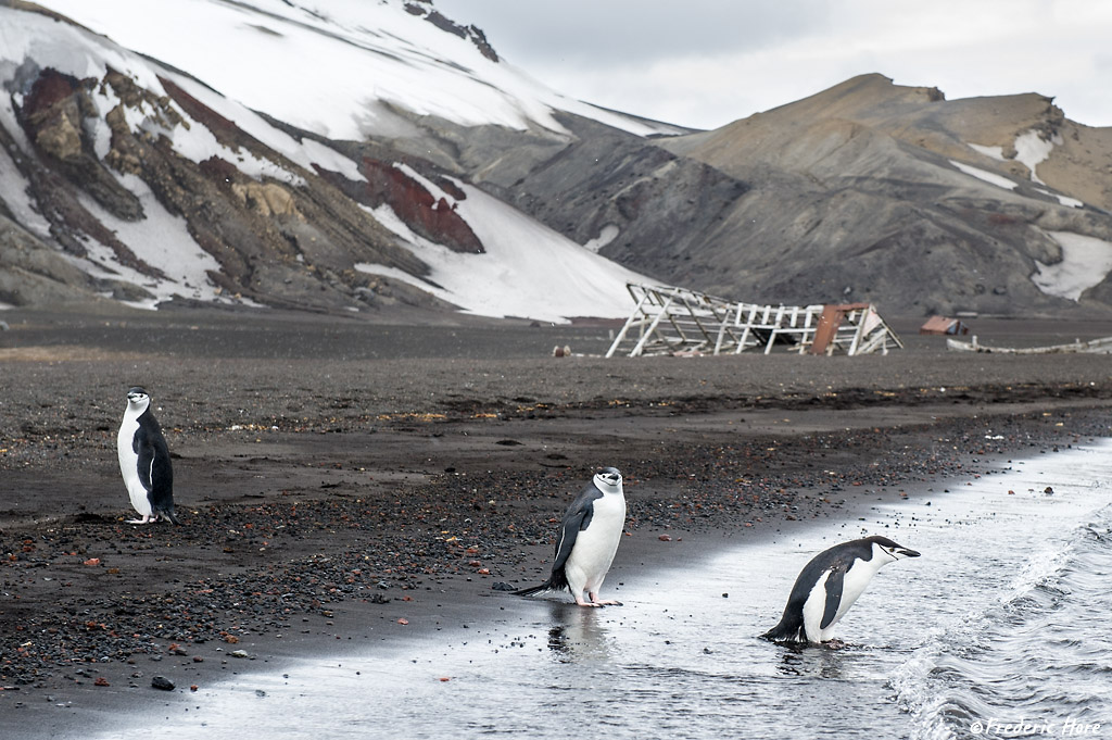 Whalers Bay, Deception Island